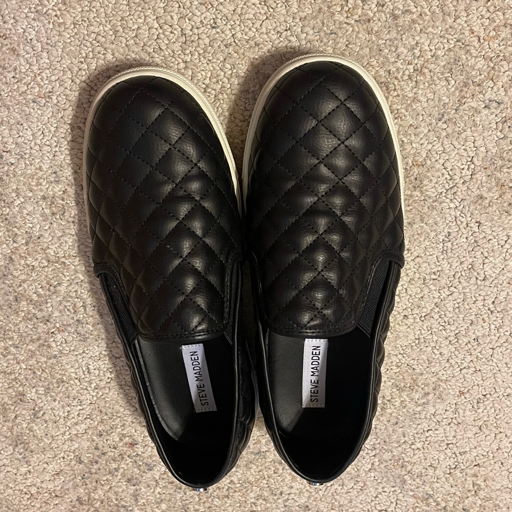Steve Madden Women's Ecentrcq Sneaker